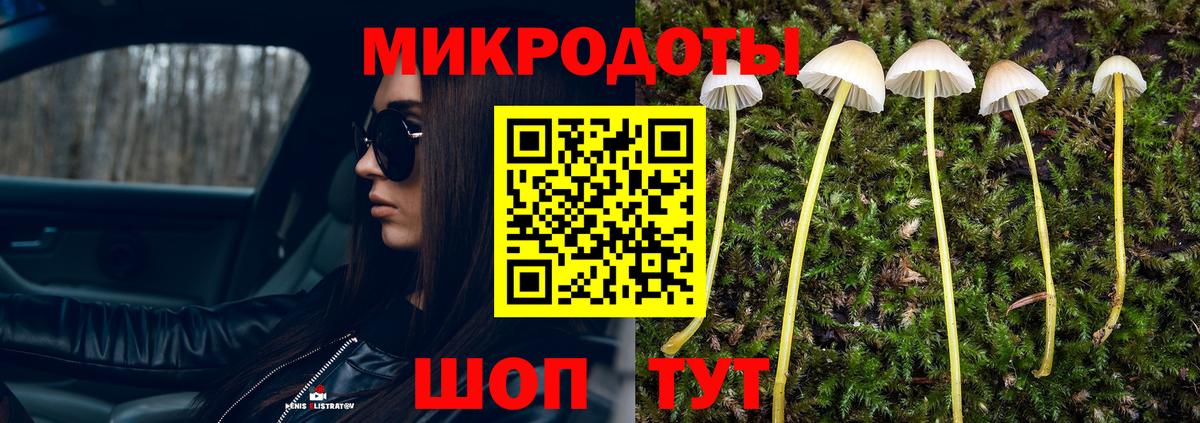 Псилоцибиновые грибы GOLDEN TEACHER Семёнов